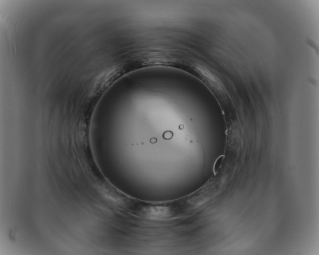 X0000091500361200708231449
