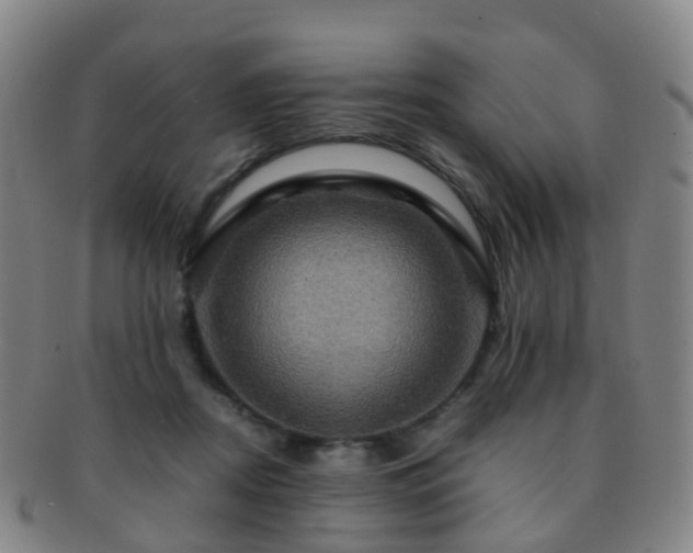 X0000091500362200708231449
