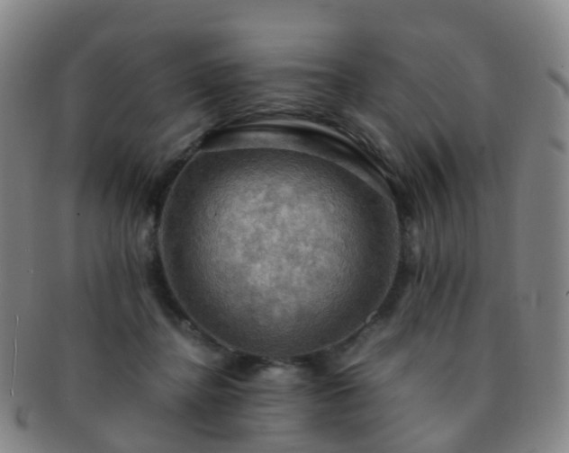 X0000091500364200708231449