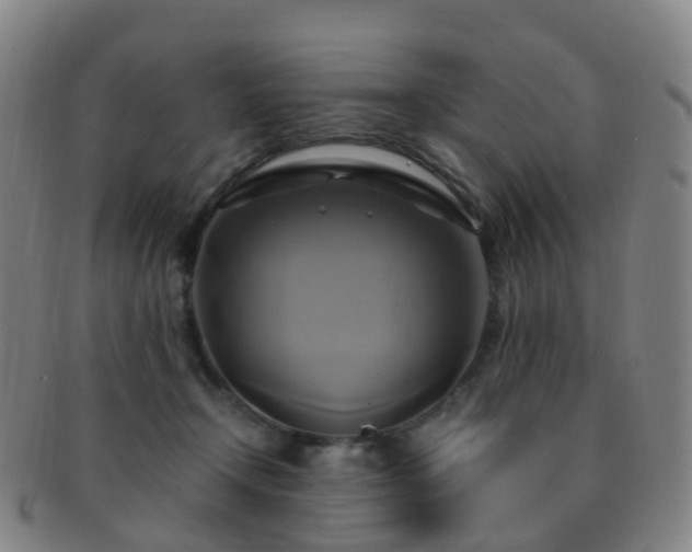 X0000091500366200708231449