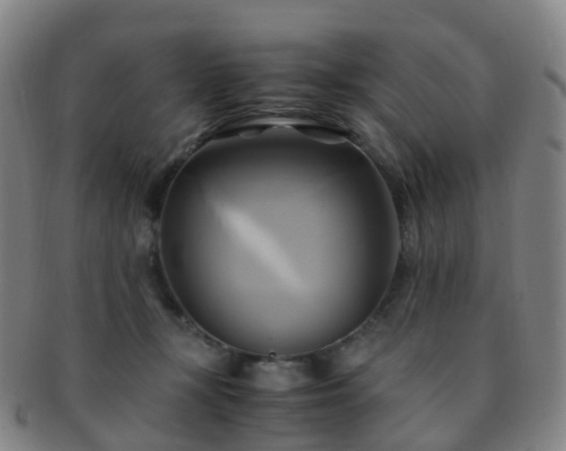 X0000091500367200708231449