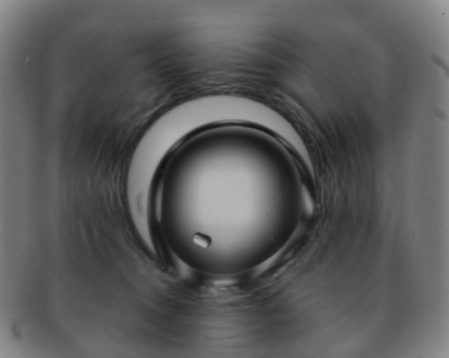 X0000091500372200708231449