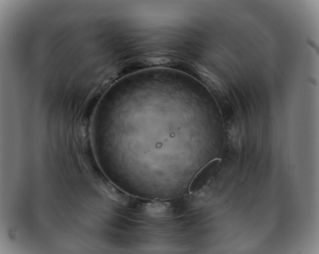 X0000091500373200708231449