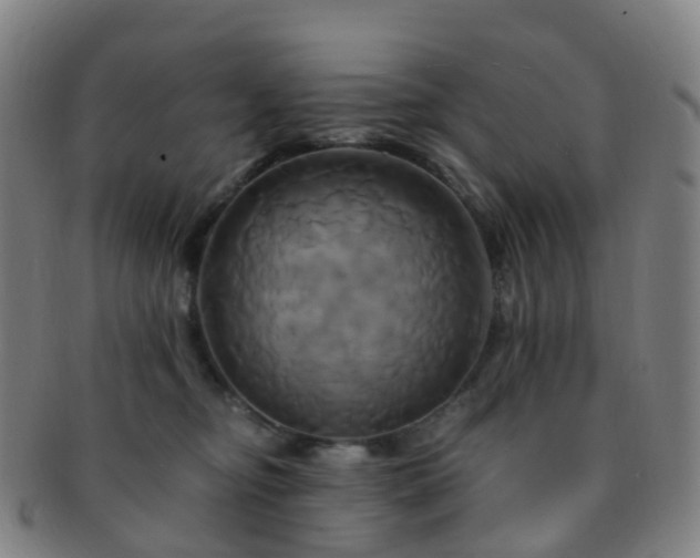 X0000091500374200708231449