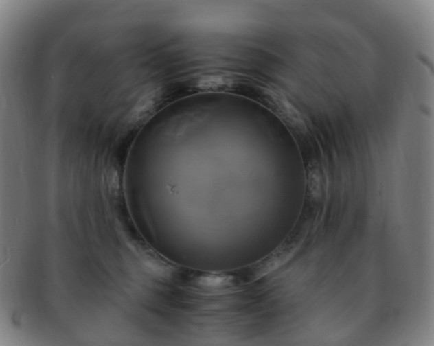 X0000091500375200708231449