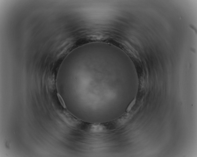 X0000091500376200708231449
