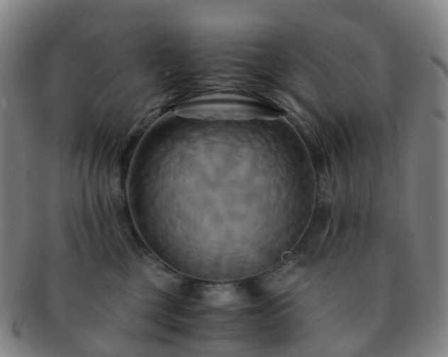 X0000091500377200708231449