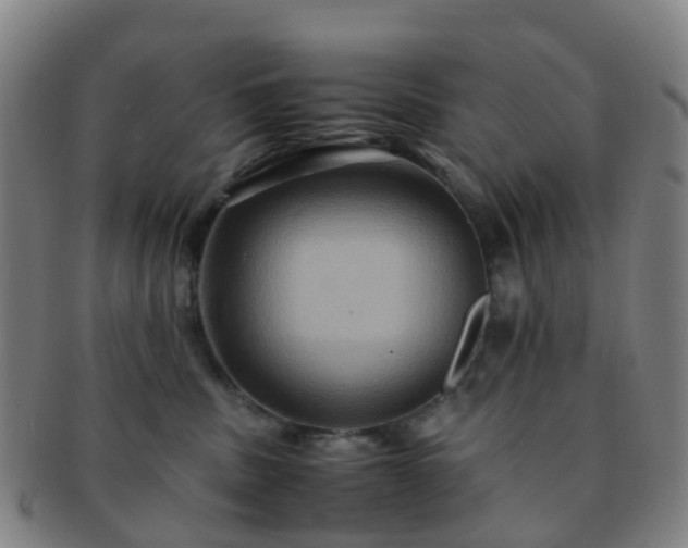 X0000091500379200708231449