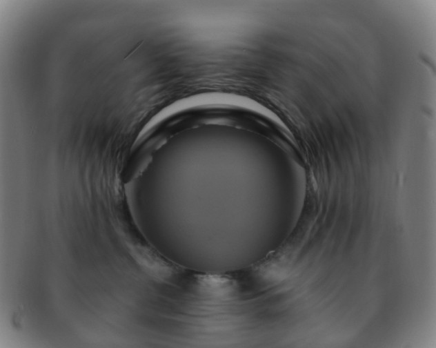 X0000091500380200708231449