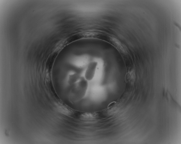 X0000091500381200708231449