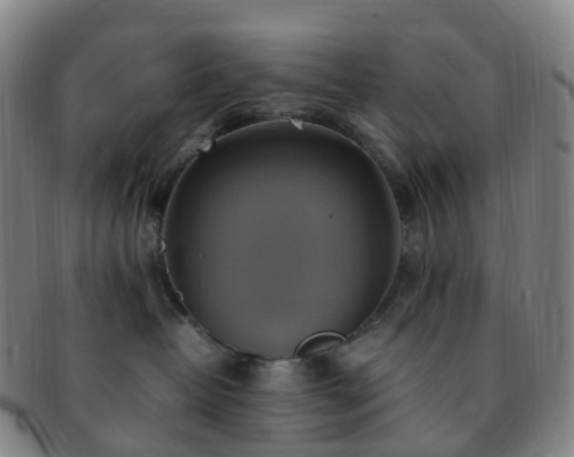 X0000091500382200708231449