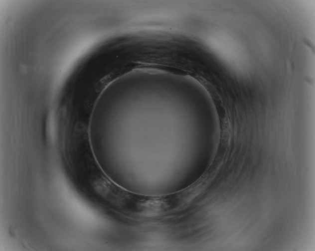 X0000091500383200708231449