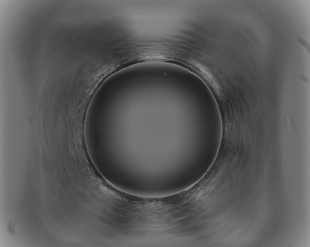 X0000091500385200708231449