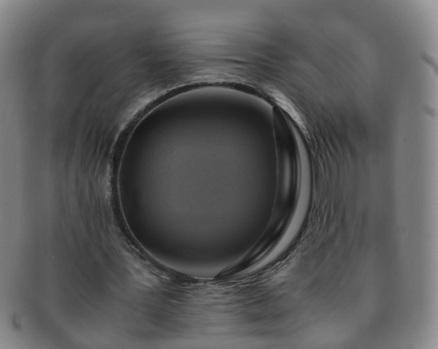 X0000091500387200708231449