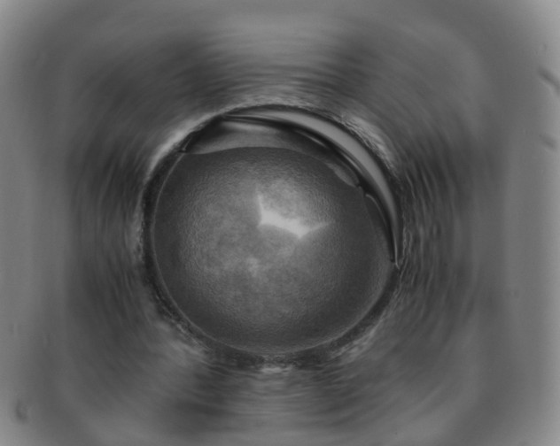 X0000091500388200708231449