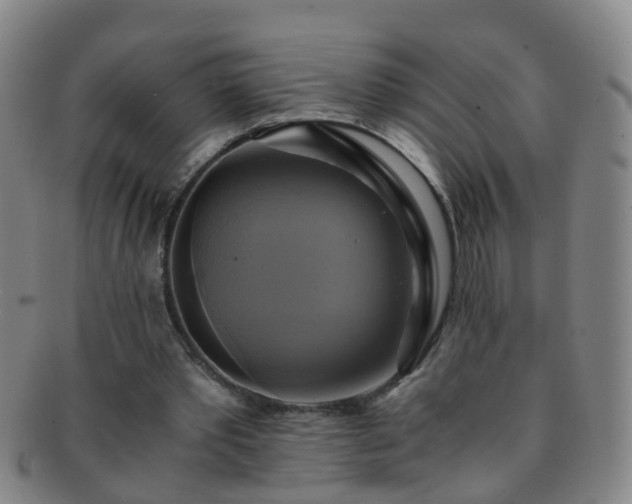 X0000091500389200708231449
