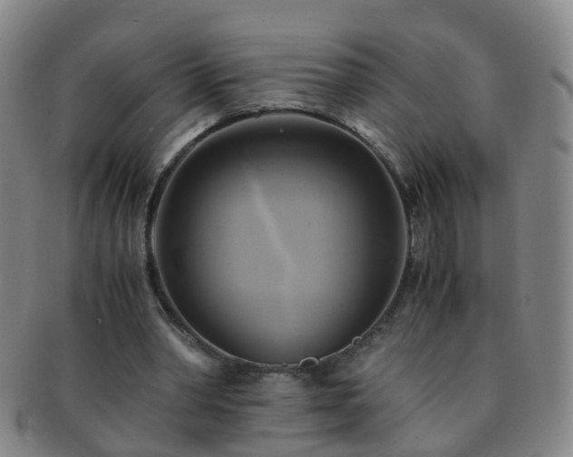 X0000091500390200708231449