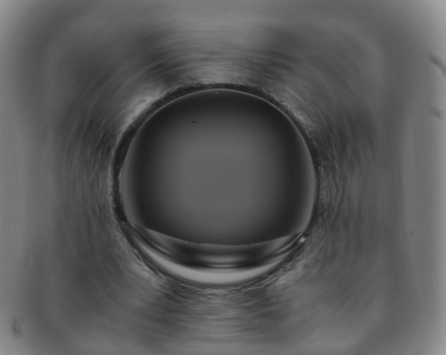 X0000091500391200708231449