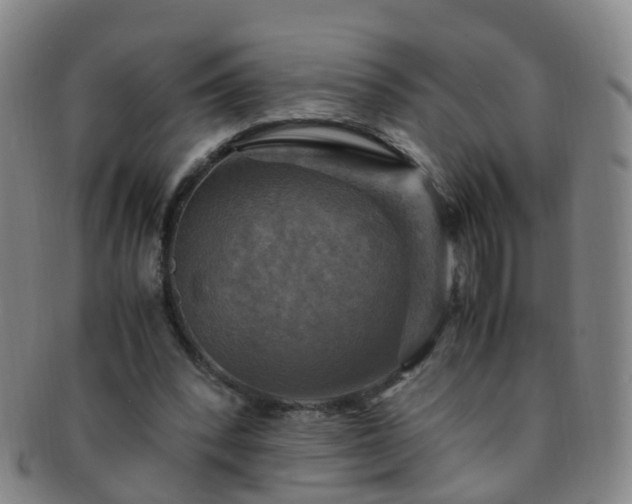 X0000091500392200708231449