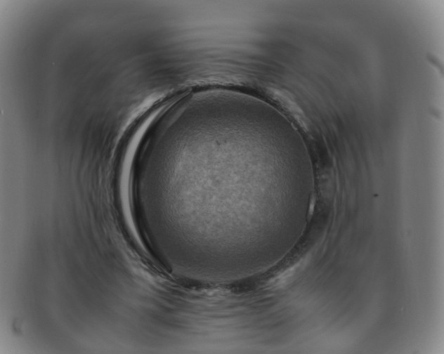 X0000091500395200708231449