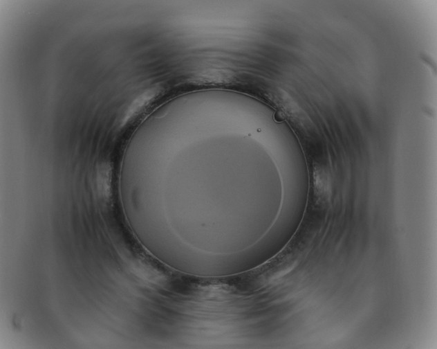 X0000091500396200708231449
