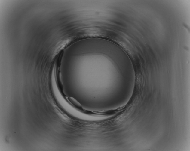 X0000091500397200708231449