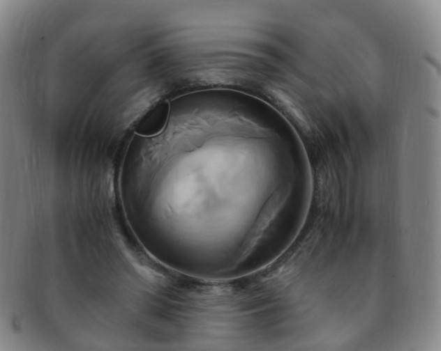 X0000091500398200708231449