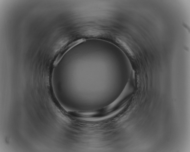 X0000091500399200708231449
