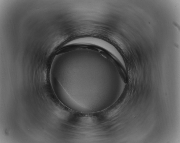 X0000091500404200708231449