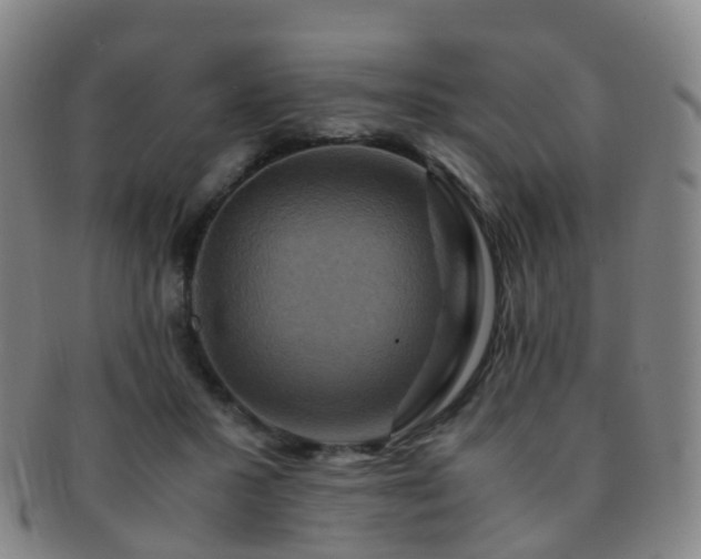 X0000091500407200708231448