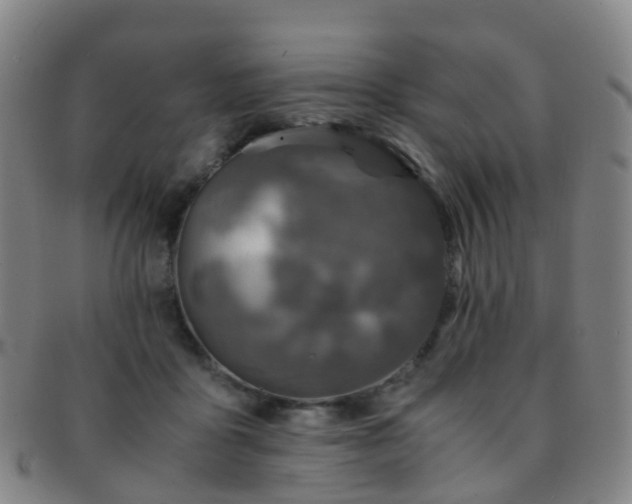 X0000091500411200708231448