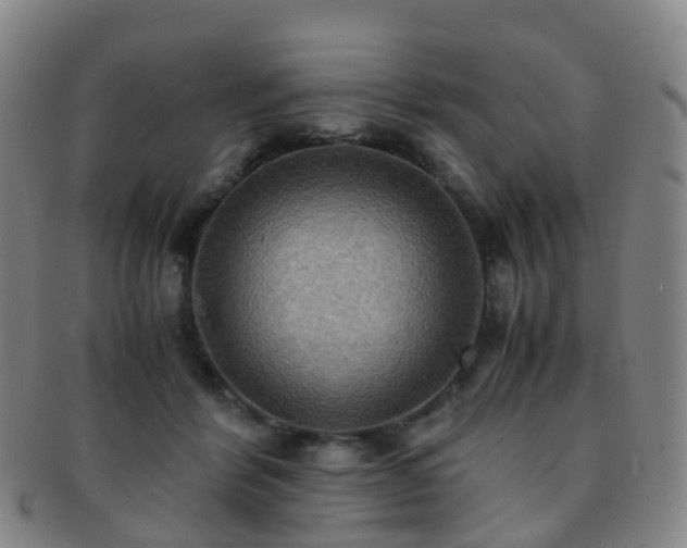 X0000091500412200708231448