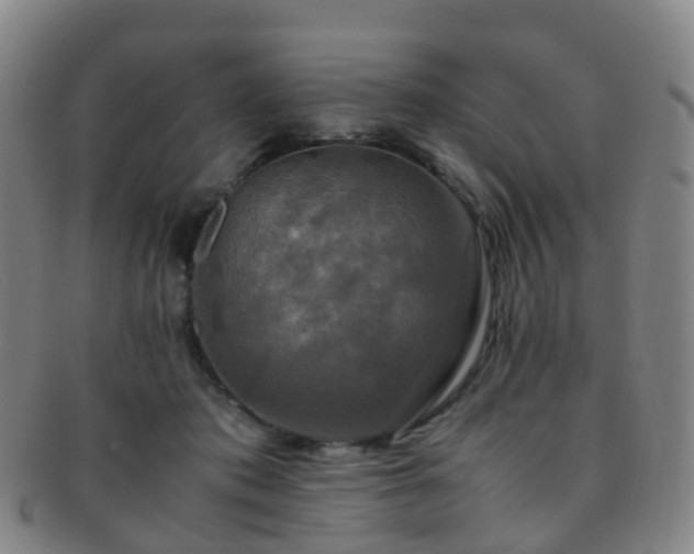 X0000091500413200708231448