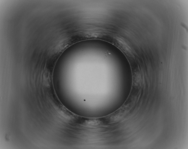 X0000091500414200708231448
