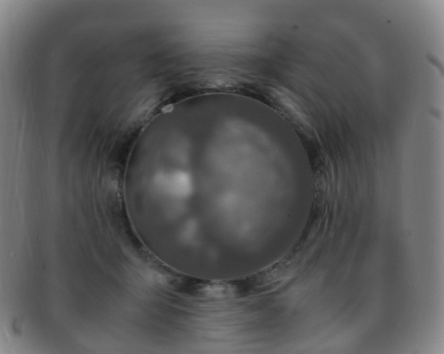 X0000091500415200708231448