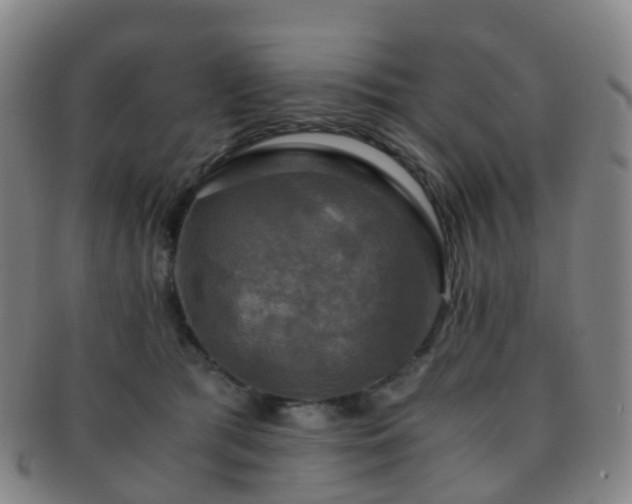 X0000091500417200708231448