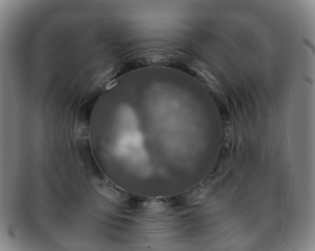 X0000091500419200708231448