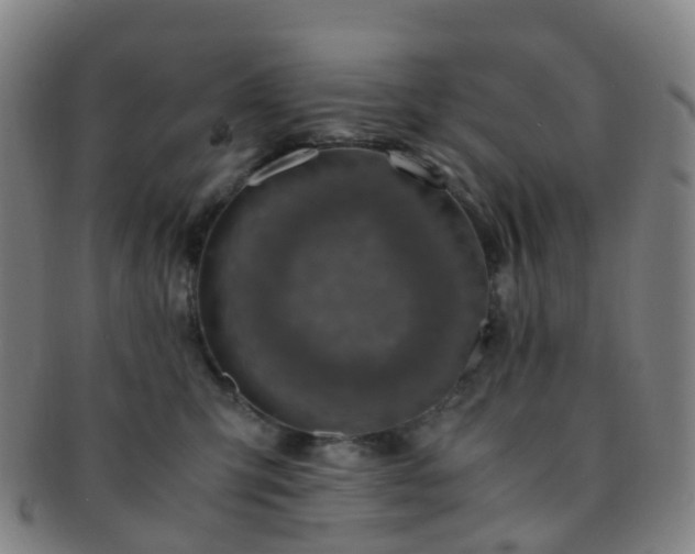 X0000091500423200708231448
