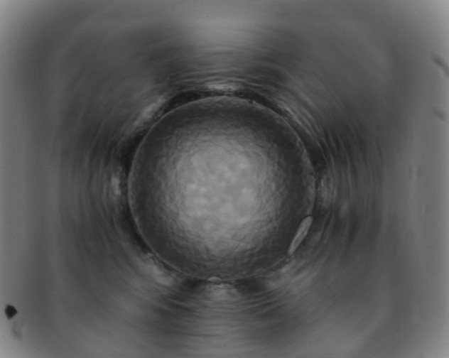 X0000091500424200708231448