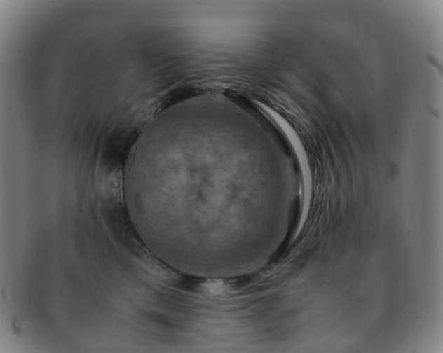 X0000091500425200708231448