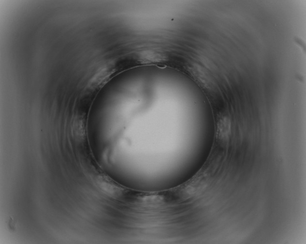 X0000091500426200708231448