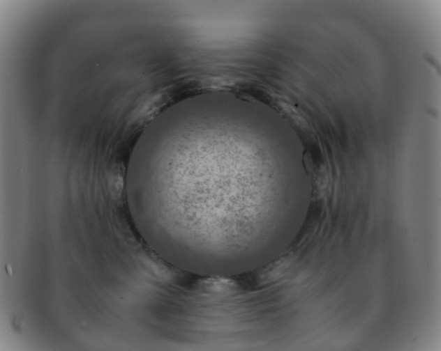 X0000091500427200708231448