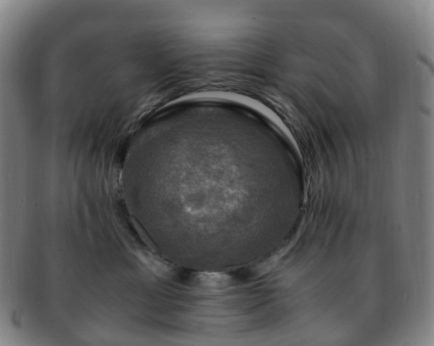 X0000091500429200708231448