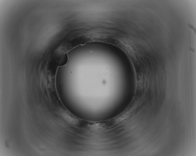 X0000091500430200708231448