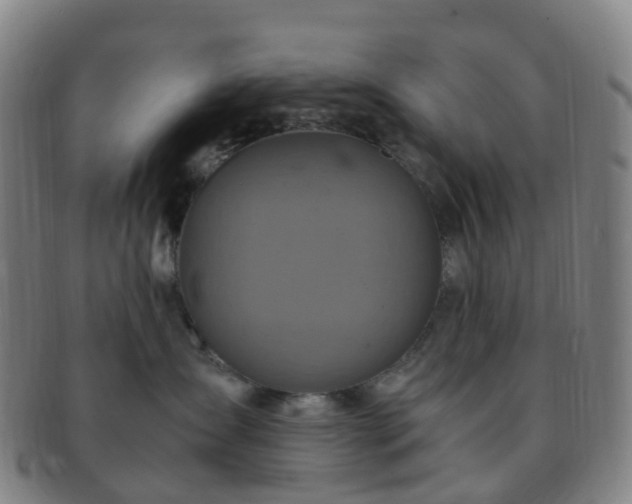 X0000091500431200708231448