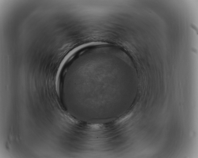X0000091500432200708231448