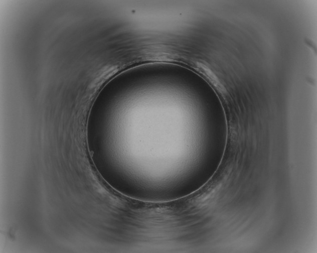 X0000091500433200708231447