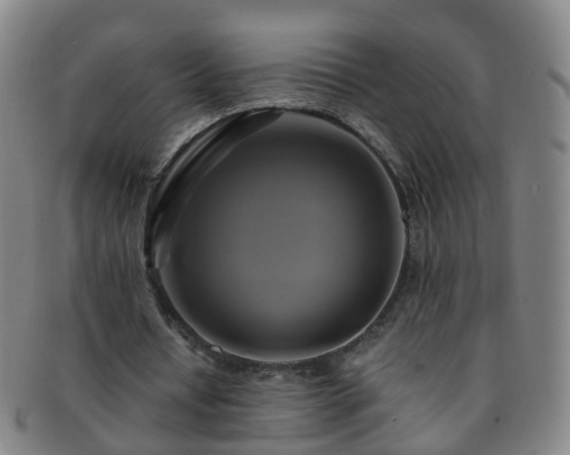 X0000091500434200708231448