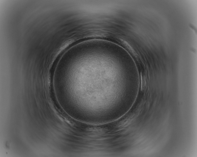 X0000091500435200708231448