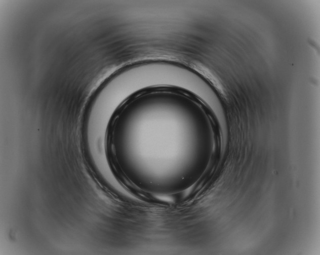 X0000091500436200708231448